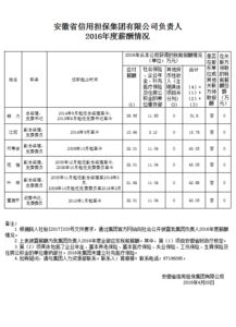 安徽省信用担保集团负责人 2016年度薪酬情况