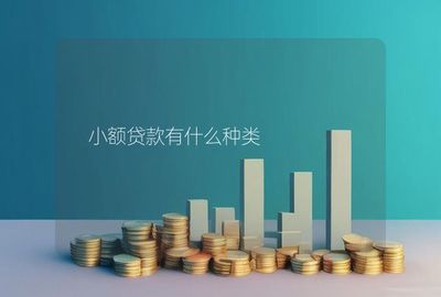 小额有什么种类