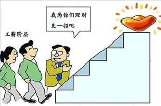 如何进行合理的投资分配