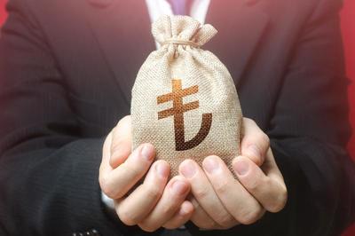 股东信用担保 法律风险与公司治理的边界探讨