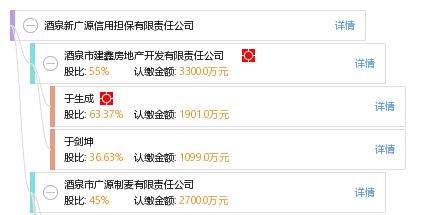 酒泉新广源信用担保有限责任公司的信用担保服务与行业影响
